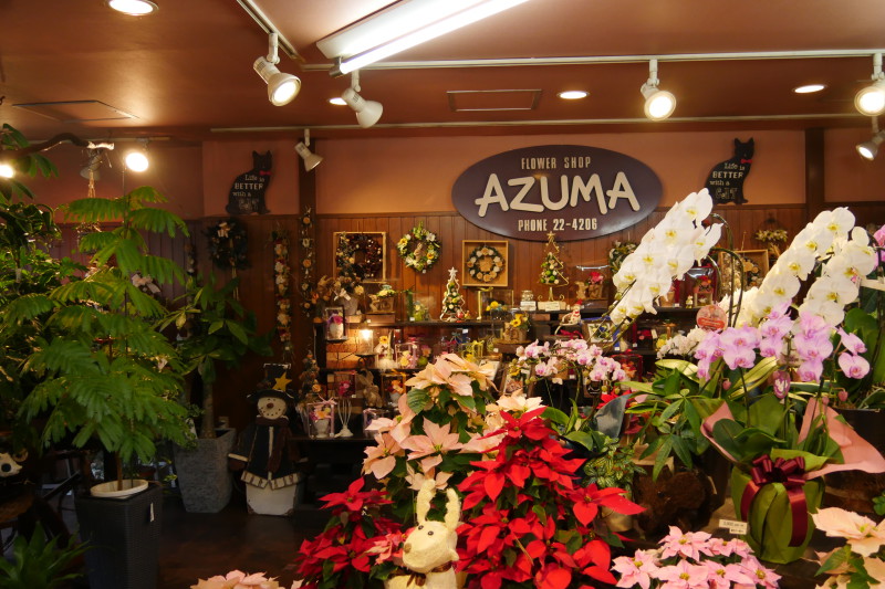 Flower Shop Azuma